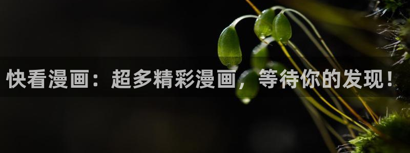 五一漫画本下载